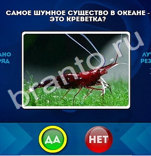 Да или Нет подсказки в контакте Уровень 459