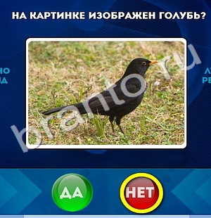 решебник на игру Да или Нет Уровень 461