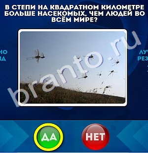 Да или Нет игра ответы Уровень 463