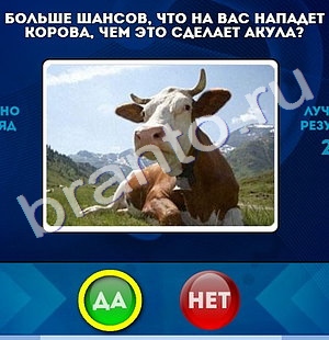 игра Да или Нет помощь Уровень 469