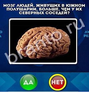 Да или Нет игра подсказки Уровень 474