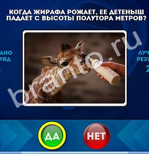 Да или Нет игра помощь Уровень 475