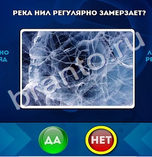 игра Да или Нет помощь Уровень 479