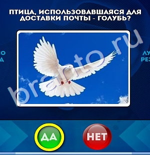 Подсказки на игру Да или Нет Уровень 482