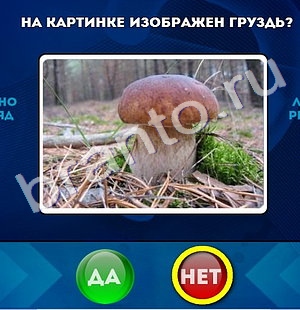 Решения на игру Да или Нет Уровень 483