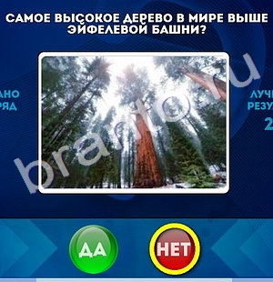 Помощь на игру ВК Да или Нет Уровень 484