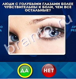 игра Да или Нет ответ на Уровень 490