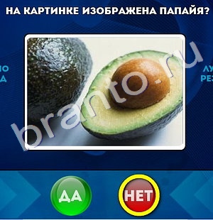 Да или Нет решения Уровень 492