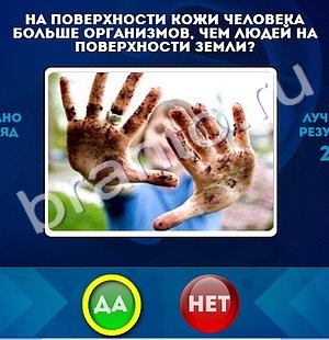 Да или Нет игра ответы в одноклассниках Уровень 517