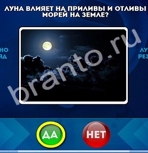 Да или Нет решения Уровень 522