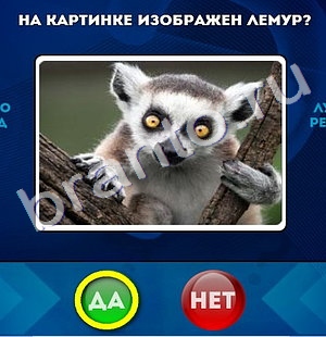 игра Да или Нет ответ на Уровень 530