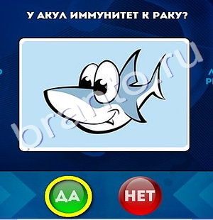 Да или Нет игра помощь Уровень 535