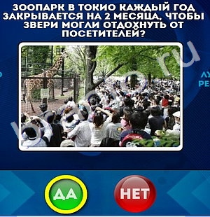 игра Да или Нет ответ на Уровень 540