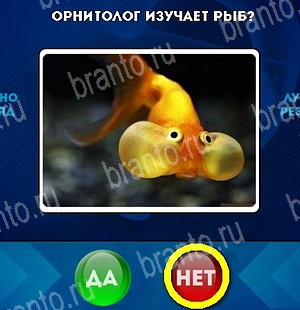 ответы на игру Да или Нет в одноклассниках Уровень 4801