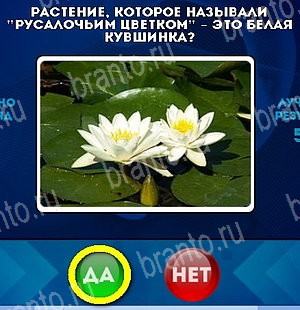 Подсказки на игру Да или Нет Уровень 4802