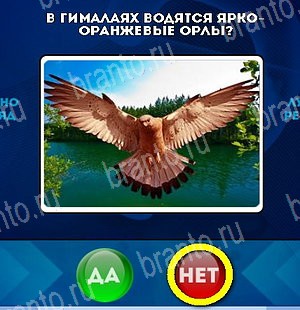 Да или Нет игра помощь Уровень 4815