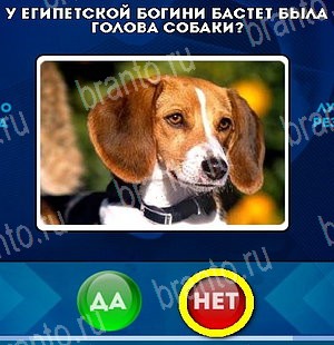 Игра Да или Нет подсказки Уровень 4818