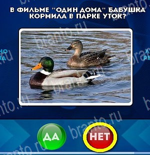 игра Да или Нет помощь Уровень 4819