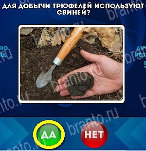 Да или Нет решения Уровень 4822