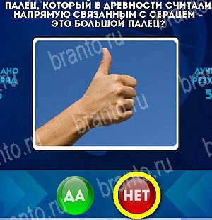 ответы к игре Да или Нет Уровень 4895