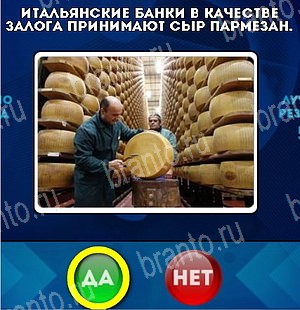 игра Да или Нет помощь Уровень 4919