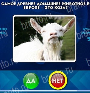 игра Да или Нет ответ на Уровень 4920