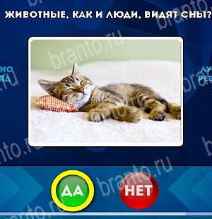 Да или Нет подсказки в контакте Уровень 4929