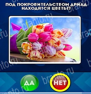 игра Да или Нет ответ на Уровень 4940