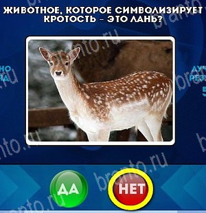Да или Нет игра ответы Уровень 4973