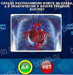 Да или Нет решения Уровень 4992