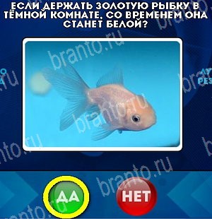 решебник на игру Да или Нет Уровень 5001