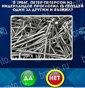 игра Да или Нет помощь Уровень 5009