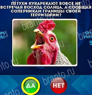 Помощь на игру ВК Да или Нет Уровень 5014