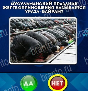 Да или Нет игра ответы в одноклассниках Уровень 5017