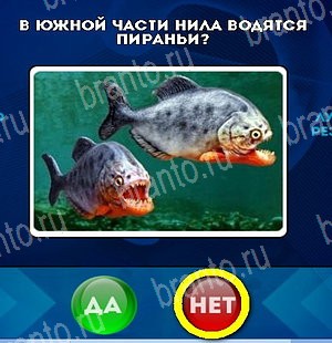 Одноклассники Да или Нет ответы Уровень 5018