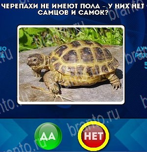 Да или Нет игра ответы Уровень 5023