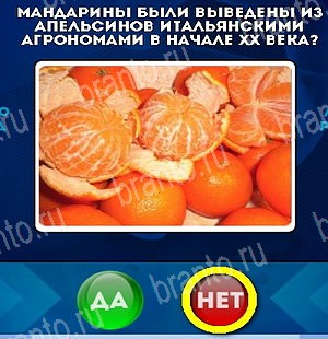 Игра Да или Нет ответы Уровень 5027