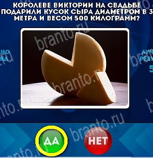 Игра Да или Нет подсказки Уровень 5028