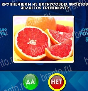 Игра Да или Нет подсказки Уровень 5038