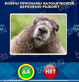 игра Да или Нет помощь Уровень 5039