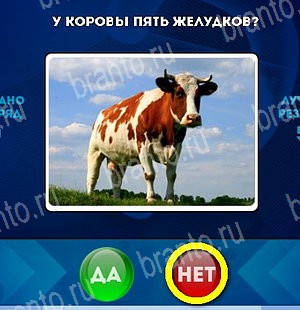 ответы к игре Да или Нет Уровень 5045