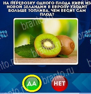 игра Да или Нет ответ на Уровень 5050