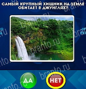 игра Да или Нет ответ на Уровень 5080