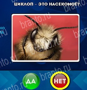 решебник на игру Да или Нет Уровень 5081