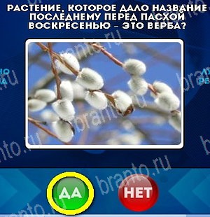 Да или Нет игра помощь Уровень 5085