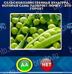 Да или Нет ответы в картинках Уровень 5096