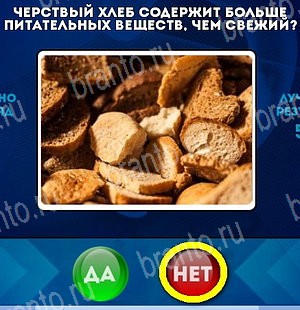 Решения на игру Да или Нет Уровень 5103