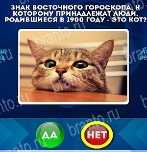 решебник на игру Да или Нет Уровень 5151