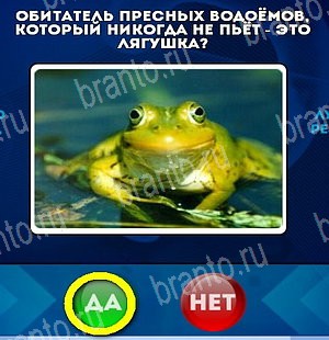 ответы на игру Да или Нет в одноклассниках Уровень 5161