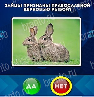 Подсказки на игру Да или Нет Уровень 5162